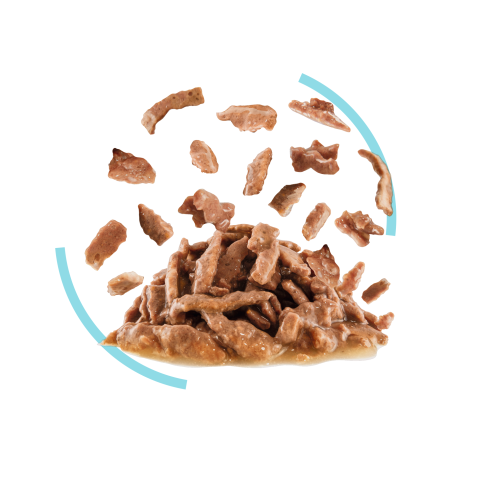 Royal Canin CAT (FHN) Sensory [Feel] Gravy 貓感系列 口感營養主食濕糧(肉汁) (3167100) 85g X12原盒 (原裝行貨) (EXP: 3月/2027)